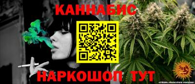 эйфоретик Малгобек