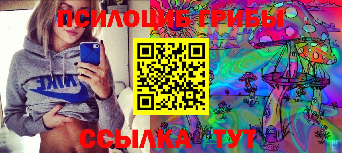 Псилоцибиновые грибы Magic Shrooms Шахты